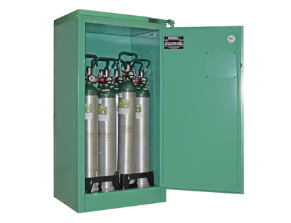 new Securall MG309FL medical gas cabinet